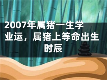 2007年属猪一生学业运，属猪上等命出生时辰