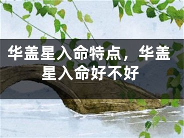 华盖星入命特点，华盖星入命好不好
