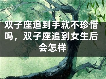 双子座追到手就不珍惜吗，双子座追到女生后会怎样