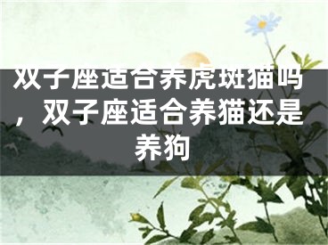 双子座适合养虎斑猫吗，双子座适合养猫还是养狗