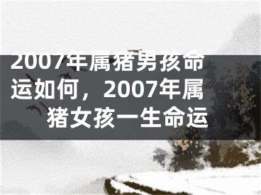 2007年属猪男孩命运如何,2007年属猪女孩一生命运