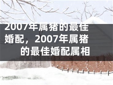 2007年属猪的最佳婚配,2007年属猪的最佳婚配属相