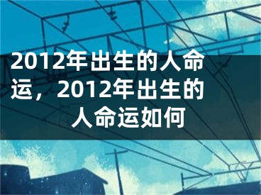 2012年出生的人命运，2012年出生的人命运如何