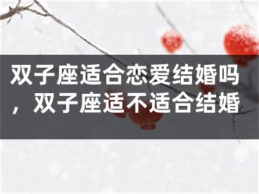 双子座适合恋爱结婚吗,双子座适不适合结婚