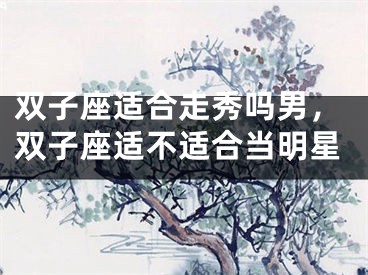 双子座适合走秀吗男，双子座适不适合当明星