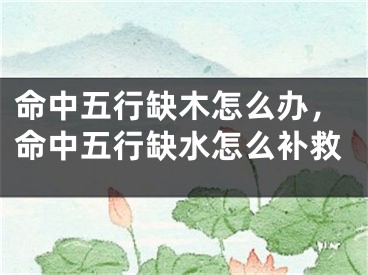 命中五行缺木怎么办,命中五行缺水怎么补救