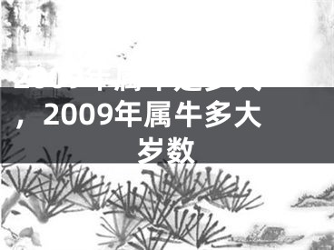 2009年属牛是多大，2009年属牛多大岁数