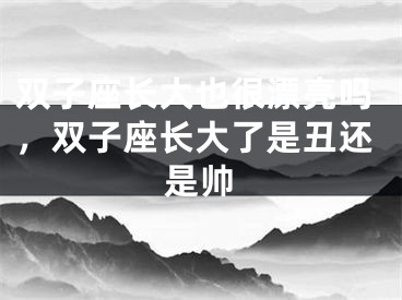 双子座长大也很漂亮吗，双子座长大了是丑还是帅