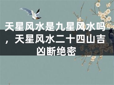 天星风水是九星风水吗,天星风水二十四山吉凶断绝密