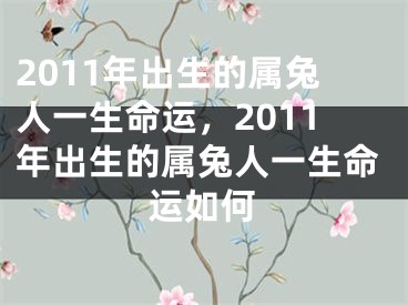 2011年出生的属兔人一生命运,2011年出生的属兔人一生命运如何