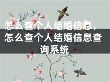 怎么查个人结婚信息,怎么查个人结婚信息查询系统