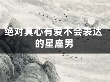 绝对真心有爱不会表达的星座男