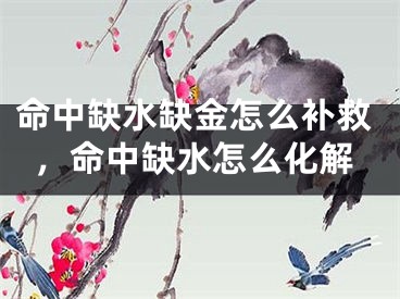 命中缺水缺金怎么补救，命中缺水怎么化解