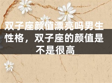双子座颜值漂亮吗男生性格，双子座的颜值是不是很高