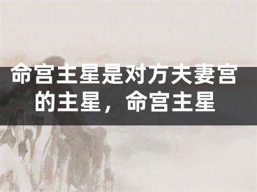 命宫主星是对方夫妻宫的主星，命宫主星