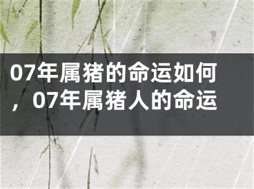 07年属猪的命运如何，07年属猪人的命运