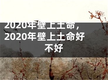 2020年壁上土命，2020年壁上土命好不好