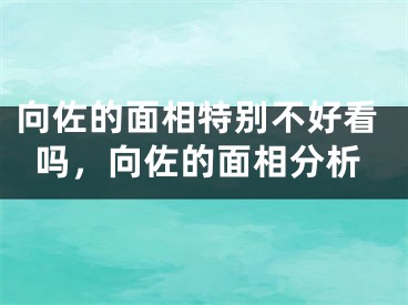 向佐的面相特别不好看吗,向佐的面相分析