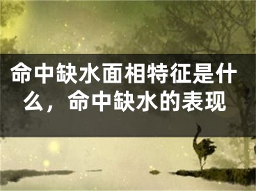 命中缺水面相特征是什么,命中缺水的表现
