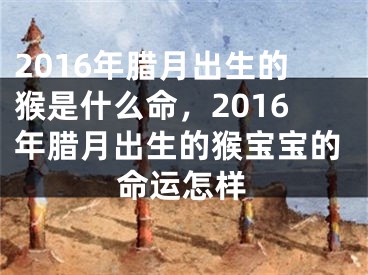 2016年腊月出生的猴是什么命，2016年腊月出生的猴宝宝的命运怎样