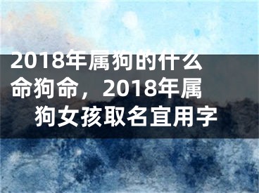 2018年属狗的什么命狗命，2018年属狗女孩取名宜用字