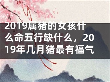 2019属猪的女孩什么命五行缺什么，2019年几月猪最有福气