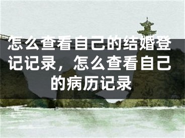 怎么查看自己的结婚登记记录，怎么查看自己的病历记录