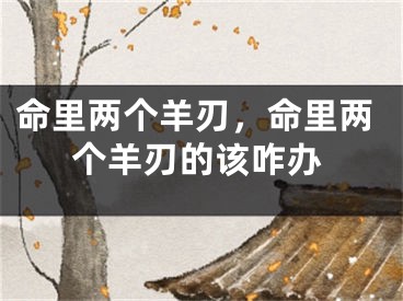 命里两个羊刃,命里两个羊刃的该咋办