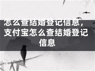 怎么查结婚登记信息,支付宝怎么查结婚登记信息