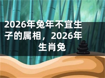 2026年兔年不宜生子的属相，2026年生肖兔