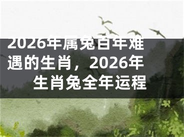 2026年属兔百年难遇的生肖，2026年生肖兔全年运程