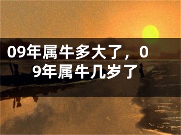 09年属牛多大了,09年属牛几岁了