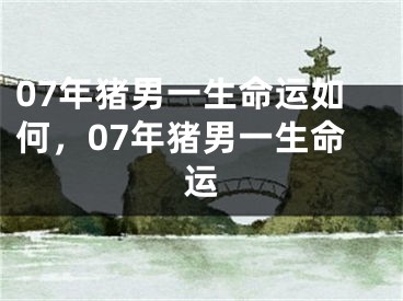 07年猪男一生命运如何，07年猪男一生命运