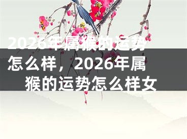 2026年属猴的运势怎么样，2026年属猴的运势怎么样女