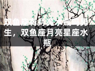 双鱼座有月亮水瓶吗男生，双鱼座月亮星座水瓶