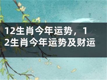 12生肖今年运势,12生肖今年运势及财运