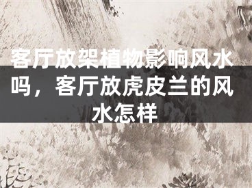 客厅放架植物影响风水吗，客厅放虎皮兰的风水怎样