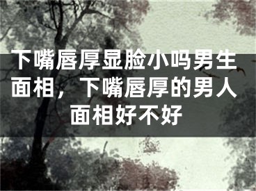 下嘴唇厚显脸小吗男生面相,下嘴唇厚的男人面相好不好