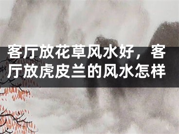客厅放花草风水好，客厅放虎皮兰的风水怎样