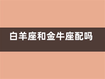 白羊座和金牛座配吗