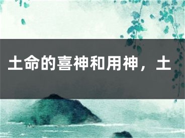 土命的喜神和用神，土