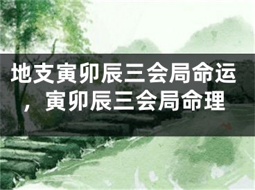 地支寅卯辰三会局命运，寅卯辰三会局命理