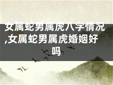 女属蛇男属虎八字情况,女属蛇男属虎婚姻好吗