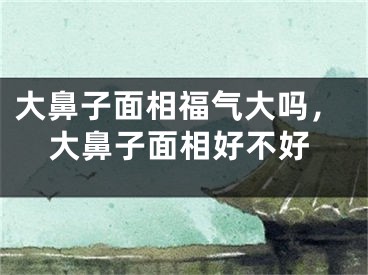 大鼻子面相福气大吗，大鼻子面相好不好