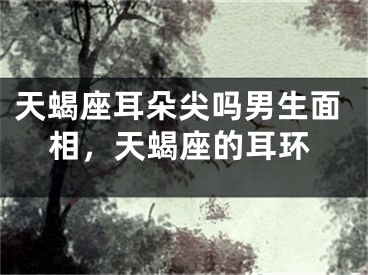 天蝎座耳朵尖吗男生面相,天蝎座的耳环