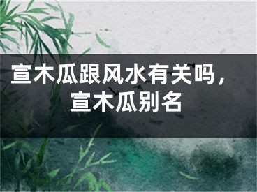 宣木瓜跟风水有关吗,宣木瓜别名