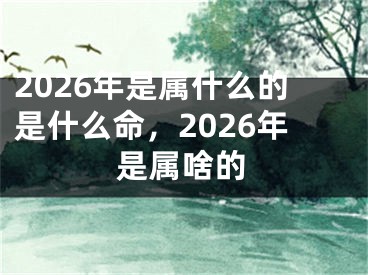 2026年是属什么的是什么命,2026年是属啥的