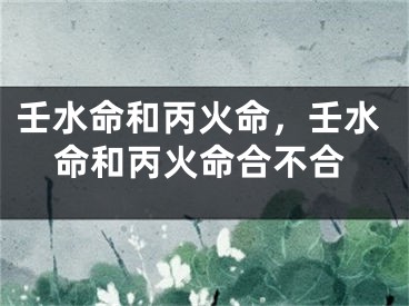 壬水命和丙火命，壬水命和丙火命合不合