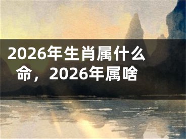 2026年生肖属什么命，2026年属啥