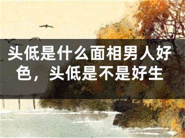 头低是什么面相男人好色,头低是不是好生